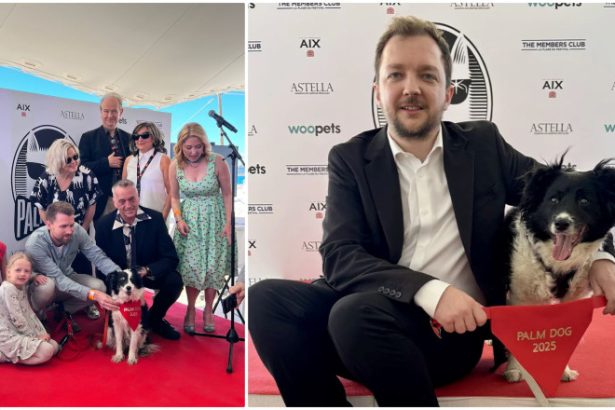 cannes 2025 un ciobanesc islandez a primit trofeul palme dog pentru cea mai buna interpretare canina 6834d703b12fc