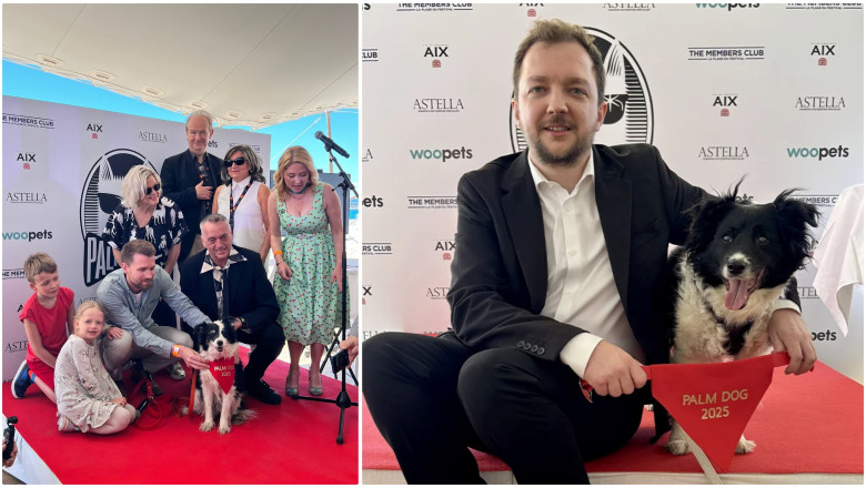 Cannes 2025: Un câine ciobănesc islandez a fost recompensat cu trofeul Palme Dog pentru cea mai remarcabilă „performanță” canină 1 cannes 2025 un ciobanesc islandez a primit trofeul palme dog pentru cea mai buna interpretare canina 6834d703b12fc