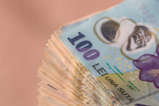 datoria romaniei in crestere guvernul a atras 50 din nevoia de finantare pentru 2025 statul plateste cele mai mari dobanzi din ue 6834d76a6be93