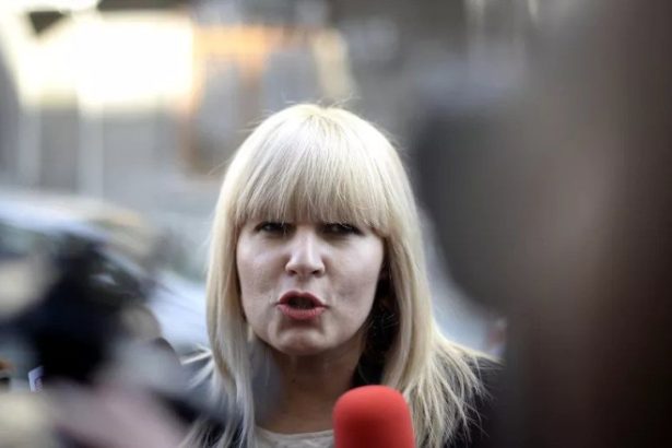 elena udrea a obtinut in instanta deducerea din pedeapsa a mai multor zile petrecute in arest preventiv decizia poate fi atacata 6835c4e300923