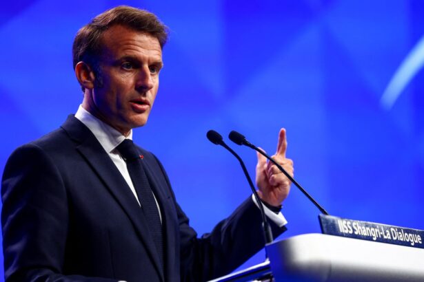 europe and asia should form positive new alliance says macron in singapore 6839ef1c5a06b