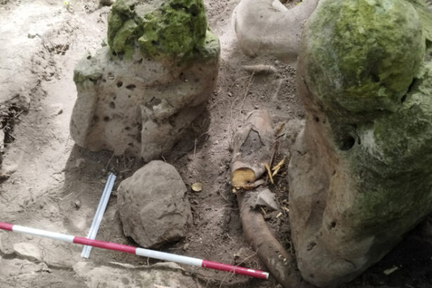 foto un complex mayas vechi de aproape 3 000 de ani cu piramide si canale a fost descoperit in guatemala 683a86c44c549