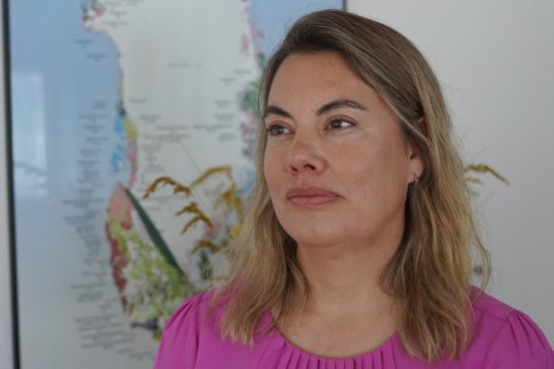 groenlanda ridica miza jocului in arctica china are avantajul daca europa si sua nu investesc masiv in exploatarea resurselor 68368b3a89934