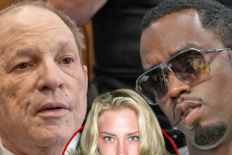 harvey weinstein sued by diddy accuser for alleged sexual assault 683b4fed93665