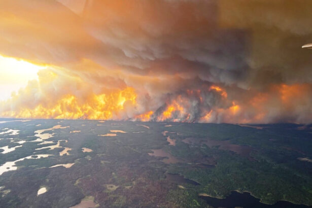 incendiile de vegetatie scapate de sub control din canada alunga mii de oameni din case avem nevoie de ploi 68395037e39e4