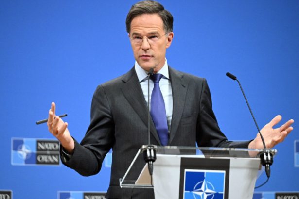 mark rutte spera ca tarile nato sa convina o tinta generala de 5 din pib pentru aparare la summitul de la haga 6834d7dda8f98