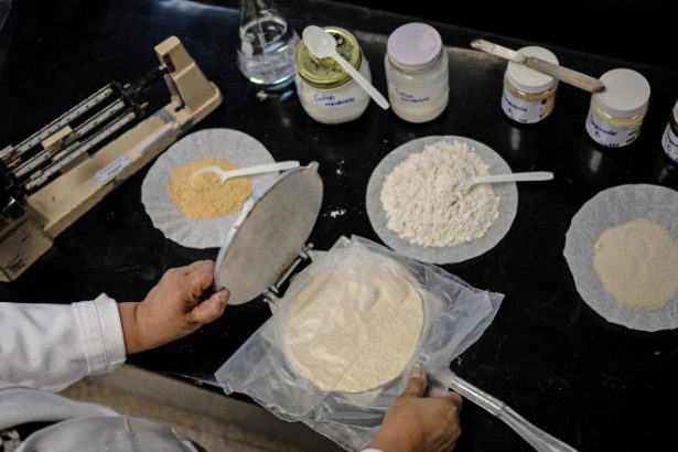 mexicanii experimenteaza cu tortilla de ce vor o varianta care sa reziste mult timp fara a fi pastrata la frigider 6834d6f508f04