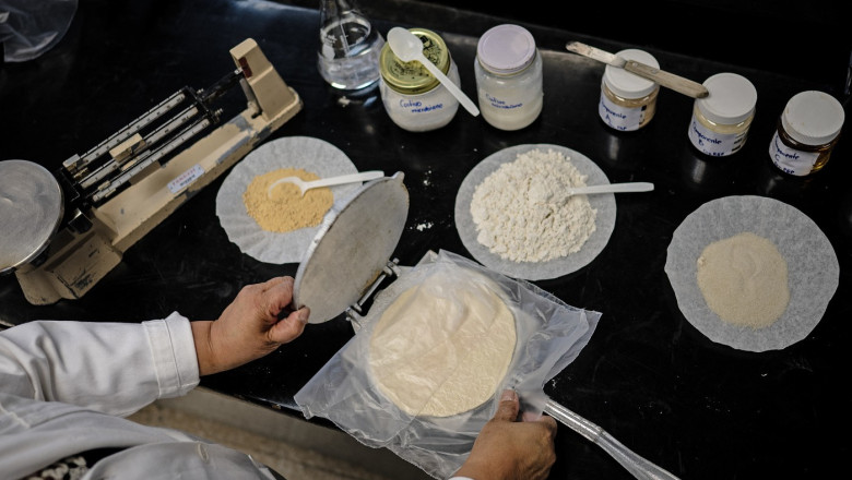 Mexicanii inovează în lumea tortillas: De ce își doresc o variantă care să reziste fără refrigerare 1 mexicanii experimenteaza cu tortilla de ce vor o varianta care sa reziste mult timp fara a fi pastrata la frigider 6834d6f508f04