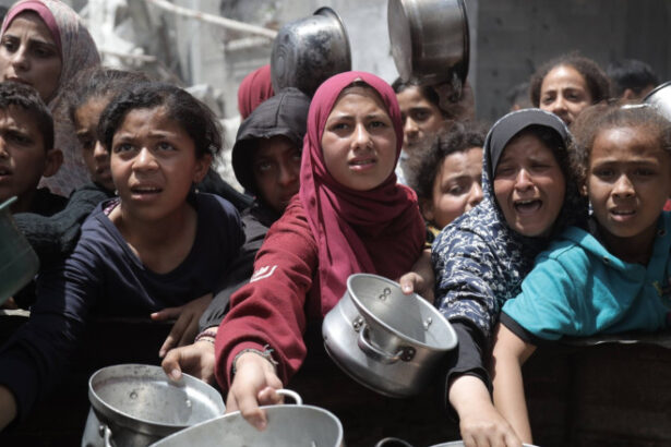 onu israelul a transformat gaza in cel mai infometat loc de pe pamant 68399d91199d0