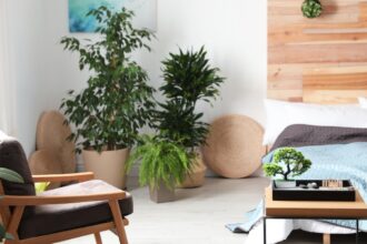 planta care iti aduce ghinion daca o tii in casa evita sa iei aceasta floare 683ad581bd4af