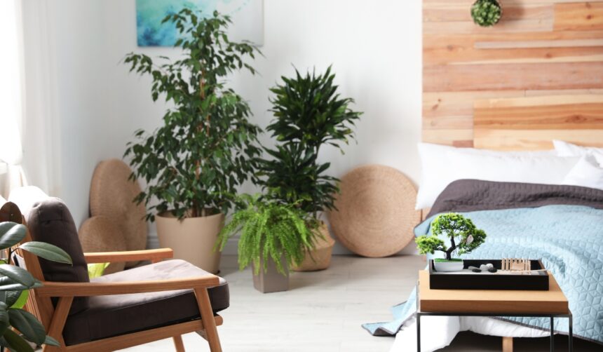 Floarea care îți poate aduce neplăceri dacă îi faci loc în locuință. Ferește-te de această plantă! 1 planta care iti aduce ghinion daca o tii in casa evita sa iei aceasta floare 683ad581bd4af