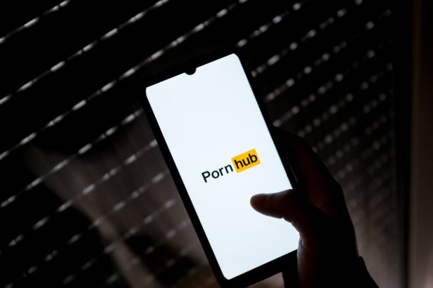 pornhub and three other adult websites face eu child safety investigation 6835ce164c15f