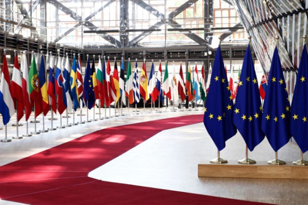 problema recunoasterii limbilor basca catalana si galiciana drept limbi oficiale in ue continua sa divizeze statele membre 6835da5537b52