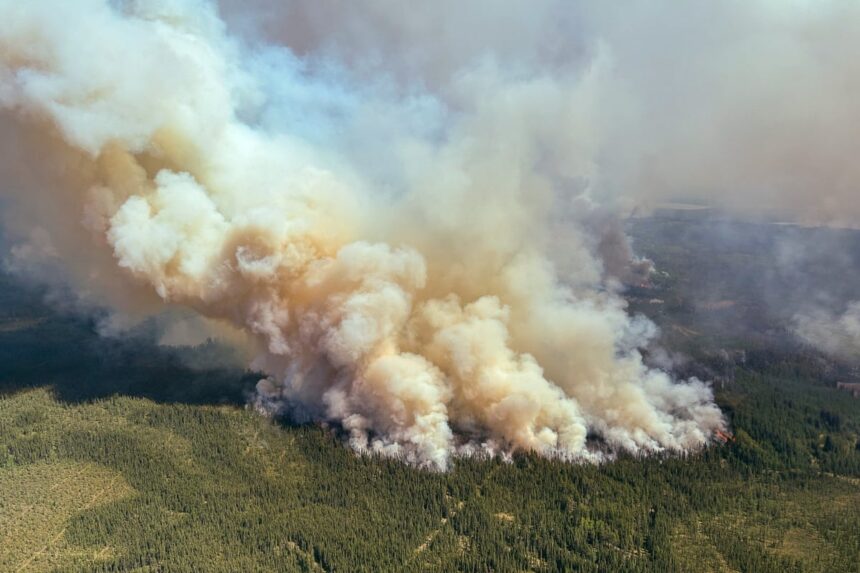 Incendiile de pădure din Canada stabilesc recorduri și pun în pericol calitatea aerului în SUA pentru zile întregi 1 recent canadian wildfires are record breaking and will threaten us air quality for days 6839ef80d4ecd