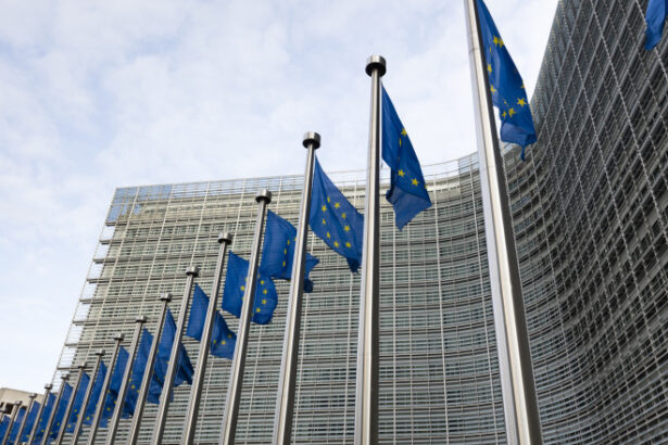 video avertismentul lui bolos comisia europeana ar putea sa nu fie de acord cu taierea cheltuielilor ca solutie pentru reducerea deficitului 6839bd66e03cc