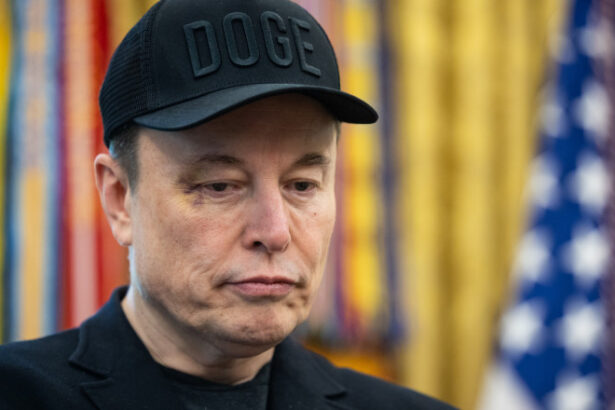 video explicatia lui elon musk pentru vanataile de pe fata sa l a lovit fiul sau x 683a8dcb11bac