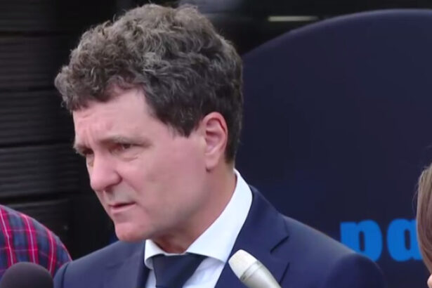 video nicusor dan dupa decizia ccr privind declaratiile de avere daca legea interzice ani sa publice o sa o public pe pagina presedintiei 683954e512840