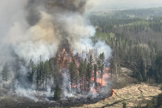 video peste 17 000 de persoane evacuate din cauza incendiilor de vegetatie in centrul canadei flacarile se deplasau foarte repede 68381c026f115