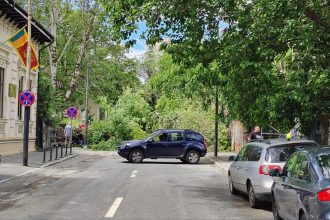 video un copac a cazut pe o strada din centrul bucurestiului doua masini avariate circulatia in zona este blocata 6835b6d563ec0