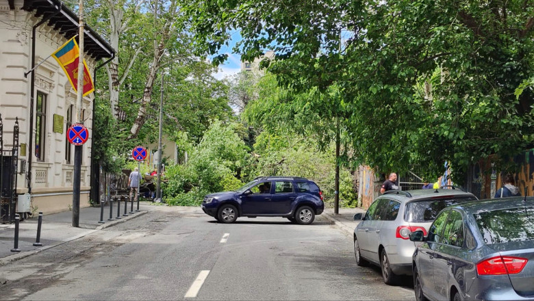 Un arbore s-a prăbușit pe o arteră din inima Bucureștiului: două autoturisme deteriorate. Traficul în zonă este complet oprit 1 video un copac a cazut pe o strada din centrul bucurestiului doua masini avariate circulatia in zona este blocata 6835b6d563ec0