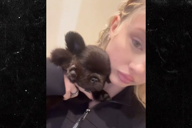 alabama barker shares video of new french bulldog puppy 683cbd87705f8