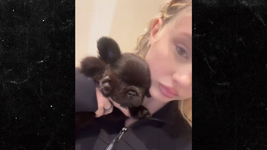 Alabama Barker prezintă noul său cățel bulldog francez 1 alabama barker shares video of new french bulldog puppy 683cbd87705f8