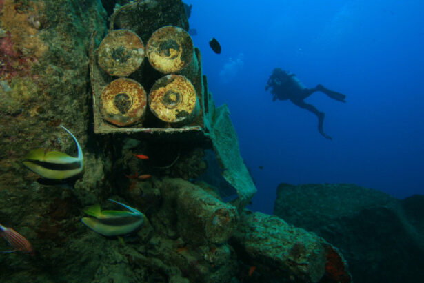 alerta ecologica 16 milioane de tone de munitie si arme chimice ruginesc in marea baltica s au gasit toxine in crustacee si pesti 6853257ab8eb4