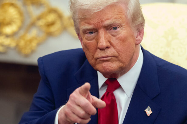 analiza de ce a interzis trump intrarea in statele unite pentru cetatenii din 12 tari 68418d95ee4a1