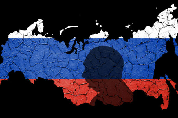 analiza economia rusiei inca rezista dar echilibrul e delicat cand ar putea fi nevoit vladimir putin sa aleaga intre razboi si tron 68441479e0172