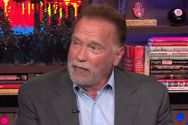 arnold schwarzenegger reveals movie that made him the most money and its not terminator 685ab282ddd02