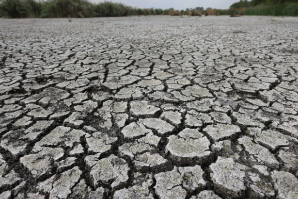 avertismentul climatologilor peste jumatate din europa a fost afectata de seceta pana la jumatatea lunii mai care e situatia romaniei 683ee5e5a0271