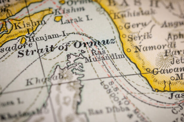 avertismentul unui fost ofiter nato despre iran occidentul nu a invatat nimic din santajul energetic al rusiei 68553745bd101