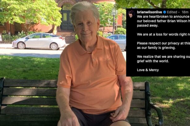 beach boys star brian wilson dead at 82 6849bb685a1d7