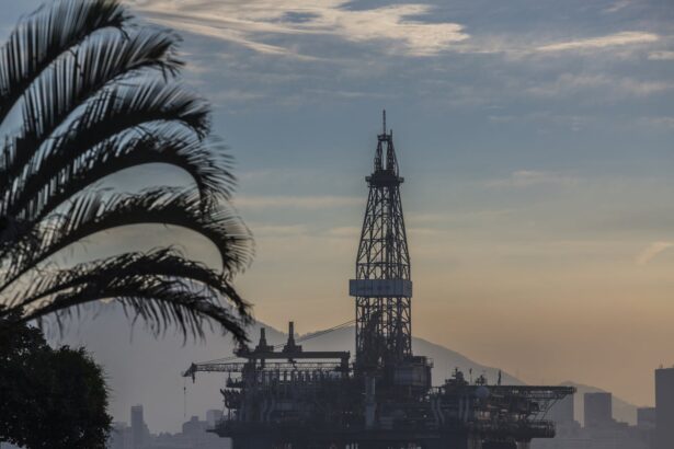 brazil to auction oil exploration rights months before hosting cop30 684bf8ca79a5d