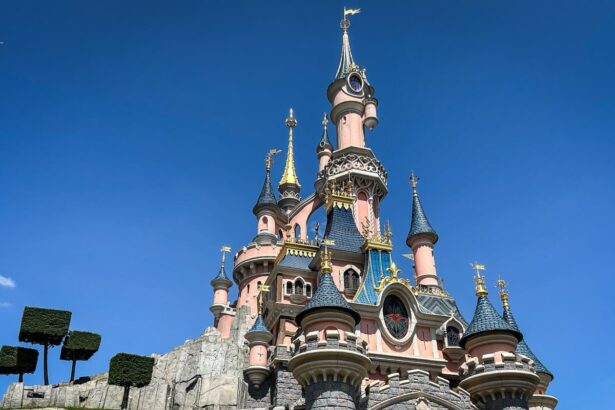 briton accused of staging disneyland mock wedding with child is charged with fraud offences in france 685c1dfdc2003