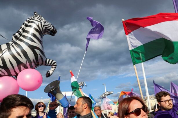 budapest pride expected to be a rallying cry against orbans rollback of rights 685f994f862c7