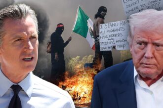 california governor newsom calls trump stone cold liar stoking civil war 68470c98ea26d