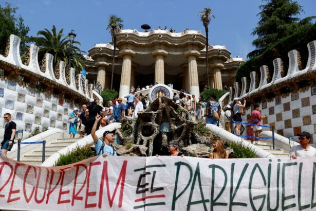 campaigners mount coordinated protests across europe against touristification 684ea95dc7e32