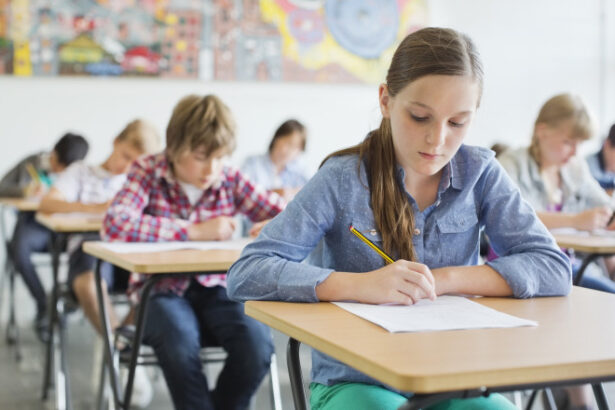 cand se afiseaza rezultatele de la evaluarea nationala 2025 care este termenul limita pentru depunerea contestatiilor 68592994090cf