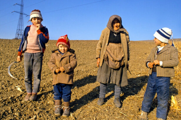 cati romani se afla in risc de saracie conform ultimelor date oficiale cele mai afectate zone din romania 68623ab6075eb