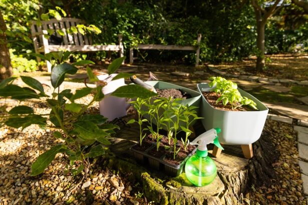 ce sa adaugi la radacina leusteanului ca sa creasca verde si bogat trucuri din gradinile bunicilor 68427f182adc0