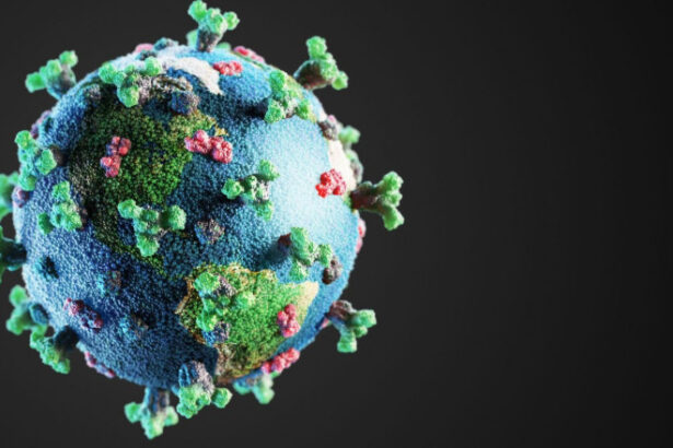 ce spune organizatia mondiala a sanatatii despre originile covid 19 a facut milioane de victime si a devastat economia mondiala 685f7c66dfdb2