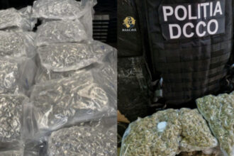 cinci persoane retinute si doua sub control judiciar intr un caz trafic de substante psihoactive aduse din olanda o doza costa 15 lei 684c83502ca38