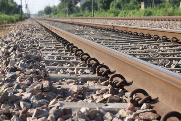 circulatie feroviara intrerupta din cauza unei furtuni in judetul mehedinti cinci trenuri au oprit copaci cazuti pe calea ferata 685ed133c45c0