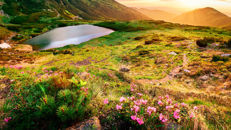 Comisia Europeană dă termen României două luni pentru a implementa măsuri de protecție și gestionare a siturilor Natura 2000. Ce se va întâmpla mai departe? 1 comisia europeana romania are termen doua luni sa ia masuri pentru a si proteja si gestiona siturile natura 2000 ce urmeaza apoi 6852ddffce24c