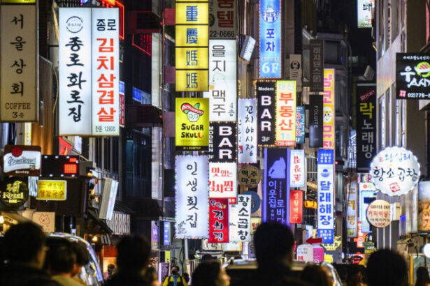 coreea de sud isi alege marti noul presedinte dupa luni de tensiuni politice care sunt candidatii favoriti in cursa prezidentiala 683d41323b5f8