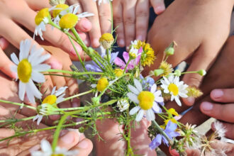 cum putem trata un fenomen grav din educatie invatatoare cati copii atatea povesti trebuie sa simti ceva nu merge altfel 685259db93dd7
