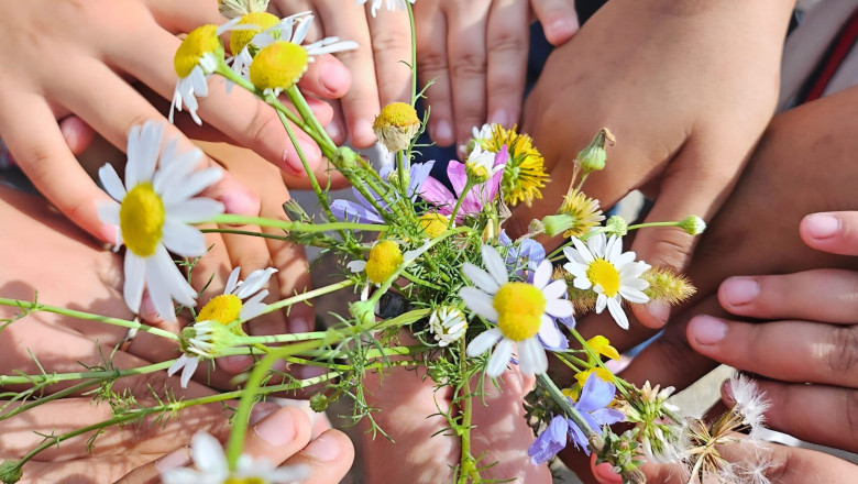 Abordări inovatoare pentru o problemă serioasă în educație: Învățătoare spune: „Fiecare copil are propria poveste. Empatia este esențială” 1 cum putem trata un fenomen grav din educatie invatatoare cati copii atatea povesti trebuie sa simti ceva nu merge altfel 685259db93dd7