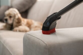 cum sa scapi definitiv de mirosul de caine din casa 68418ed375b68