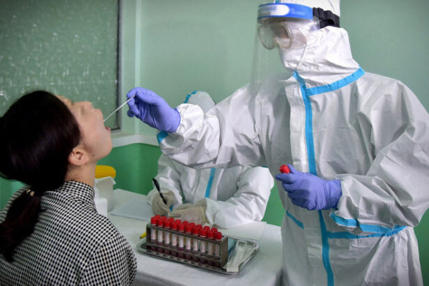 cum si a mintit phenianul poporul si lumea despre covid 19 primul raport despre ce s a intamplat in coreea de nord in timpul pandemiei 68526d7f61d24